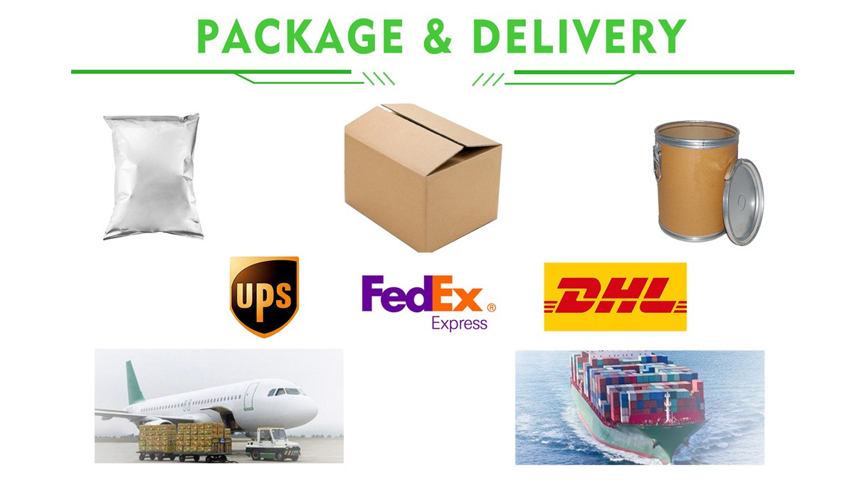 PACKAGE DELIVERY